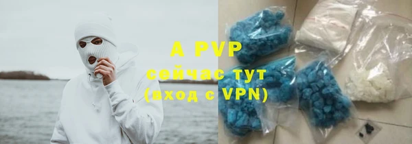 ГАЛЛЮЦИНОГЕННЫЕ ГРИБЫ Беломорск