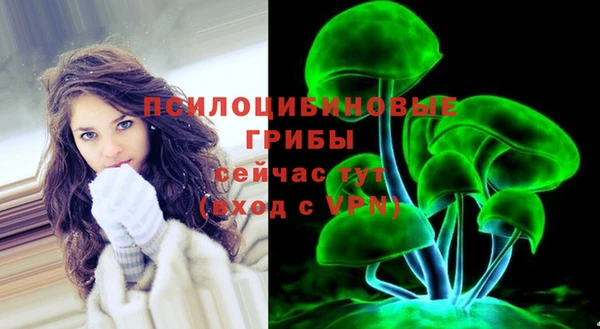ГАЛЛЮЦИНОГЕННЫЕ ГРИБЫ Беломорск