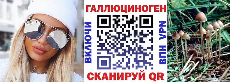 Псилоцибиновые грибы MAGIC MUSHROOMS  Бийск 